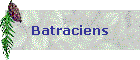 Batraciens