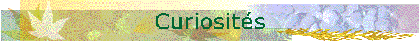 Curiosités