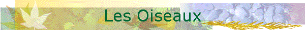Les Oiseaux
