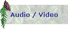Audio / Video
