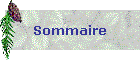 Sommaire