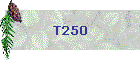 T250