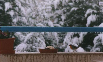 Balcon